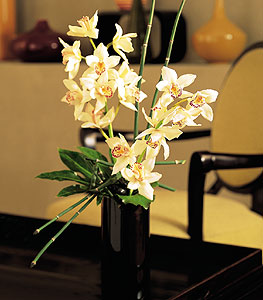  Gaziantep nternetten iek siparii  cam yada mika vazo ierisinde dal orkide