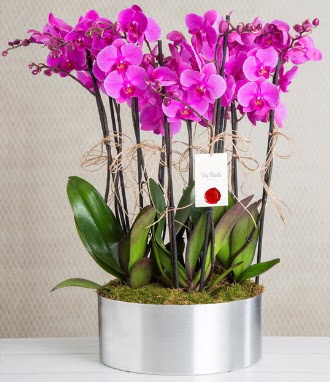 11 dall mor orkide metal vazoda  Gaziantep 14 ubat sevgililer gn iek 